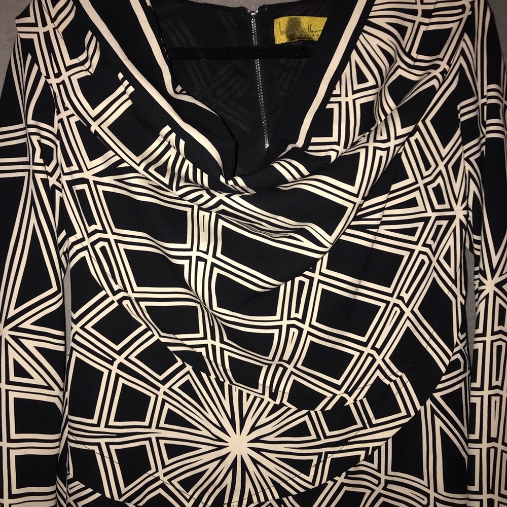 ⭐️NICOLE MILLER cowl neck dress (8)